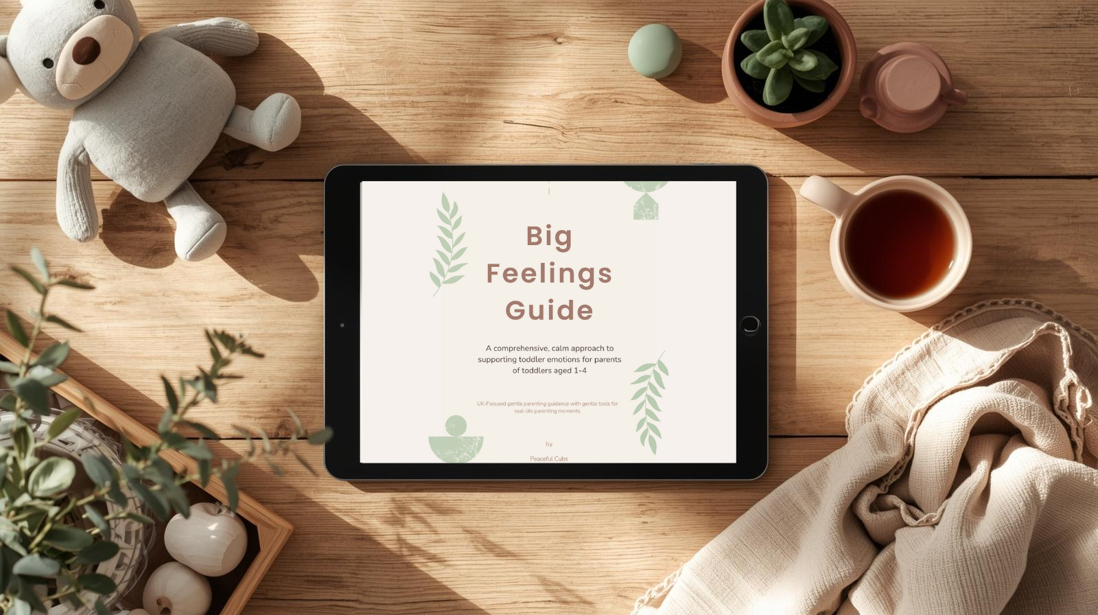 Big Feelings Guide cover